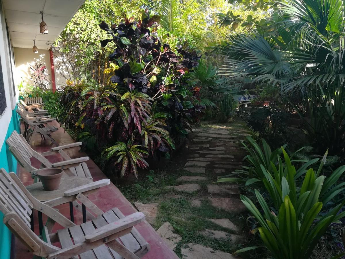 Harvest House Nicaragua Hotel Leon Exterior photo